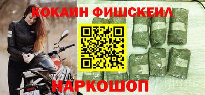крисы Новодвинск