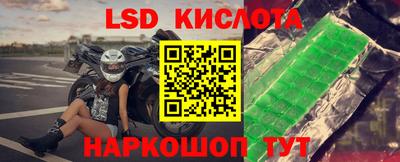 ПСИЛОЦИБИНОВЫЕ ГРИБЫ Новозыбков