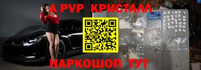 крисы Новодвинск