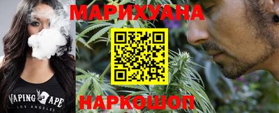крисы Новодвинск