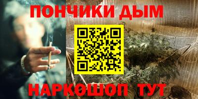 крисы Новодвинск