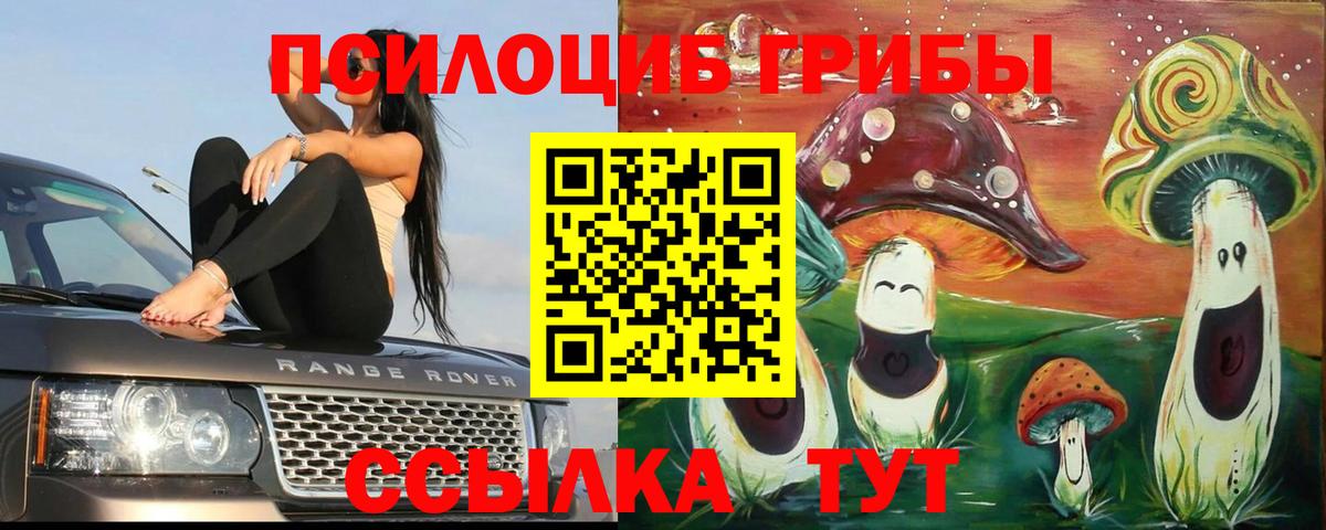 Галлюциногенные грибы MAGIC MUSHROOMS  Вход с VPN  Протвино 